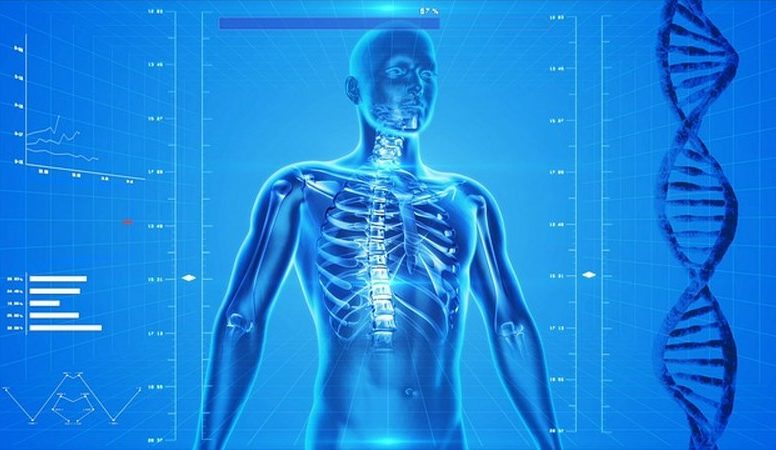 human-skeleton-163715_640_800x450